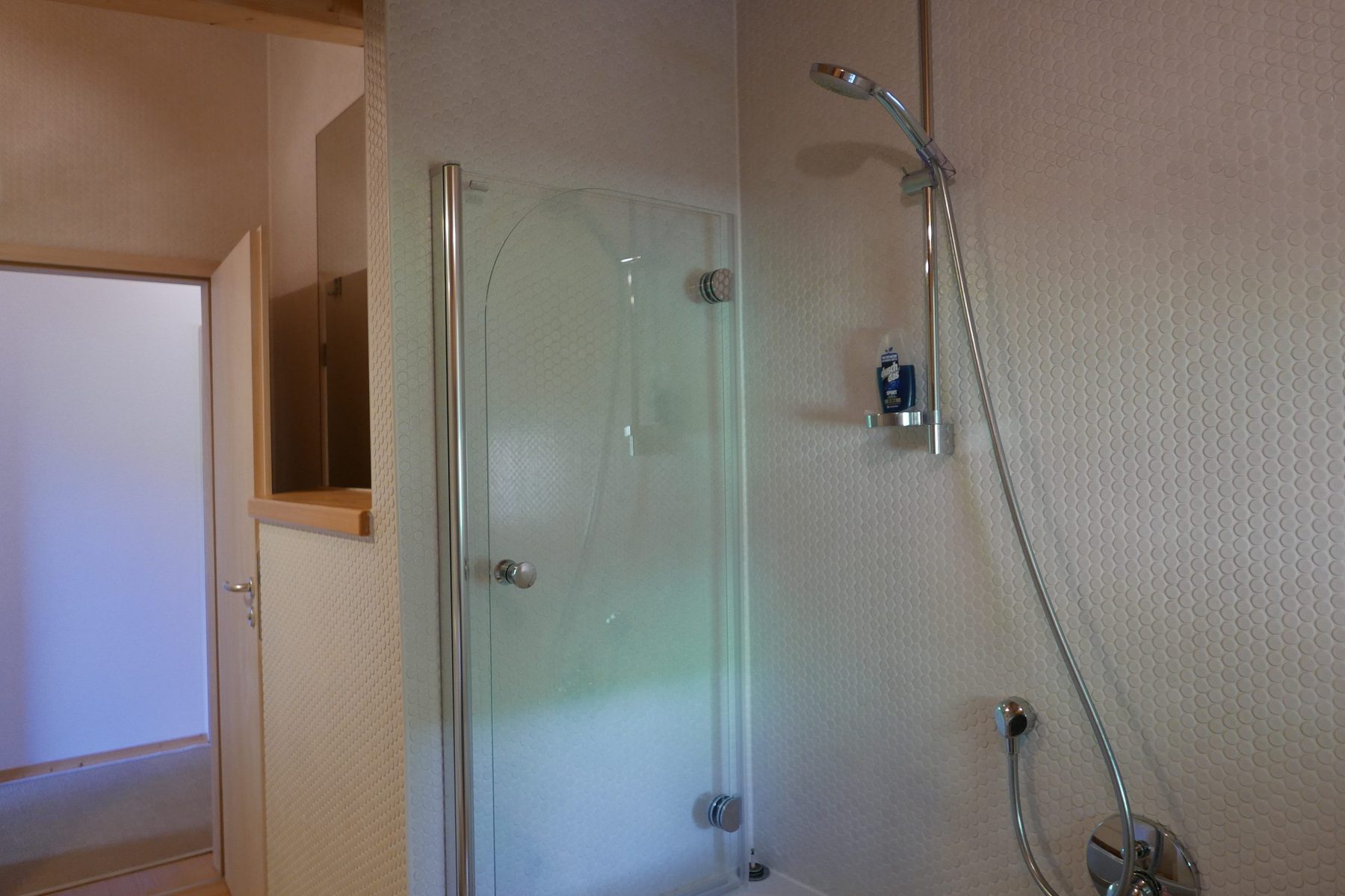Duschbad mit Glasabtrennung und Regenbrause