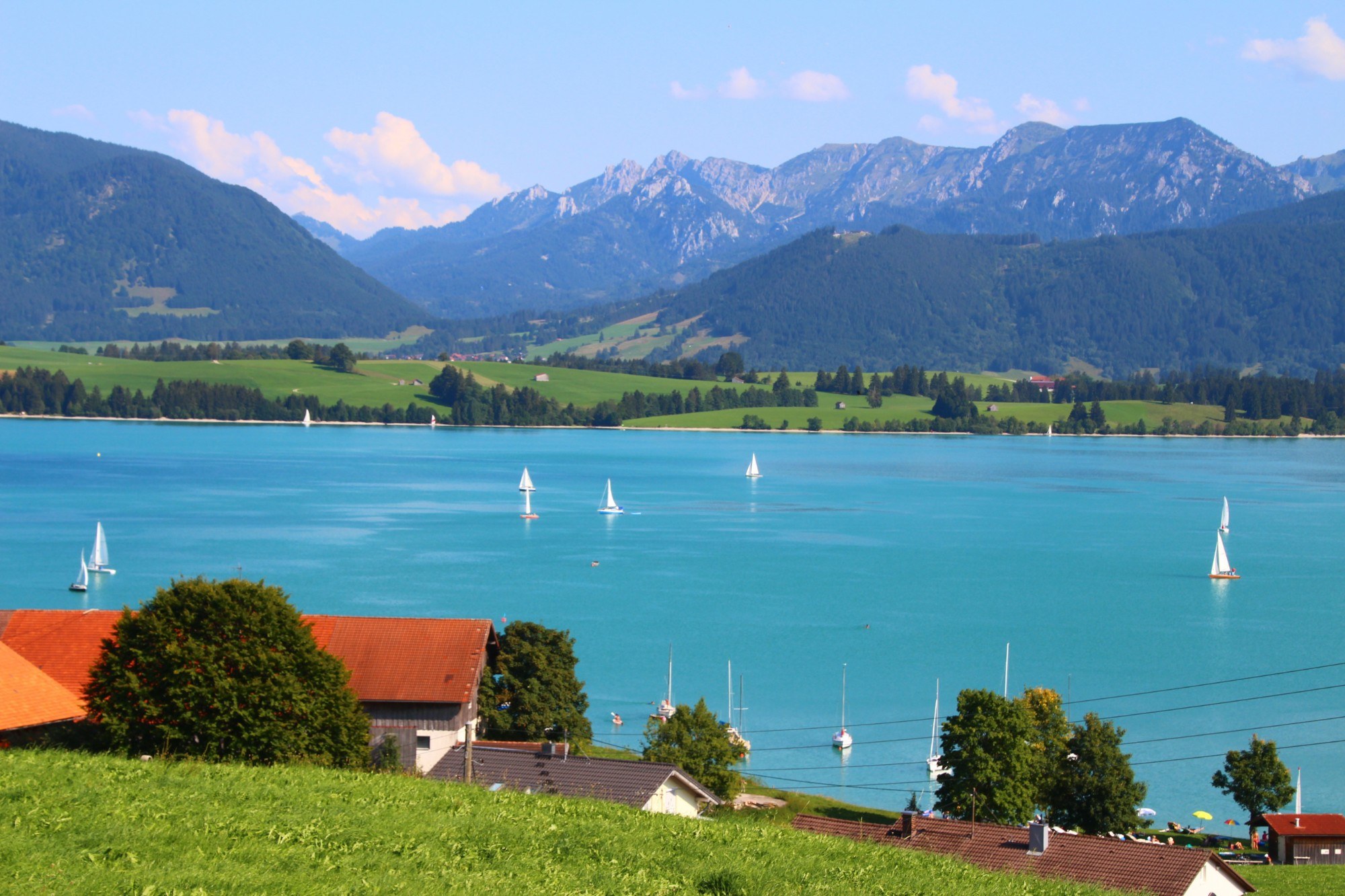 Türkisblauer Forggensee mit Segelbooten, dahinter grüne Wiesen und die Allgäuer Berge