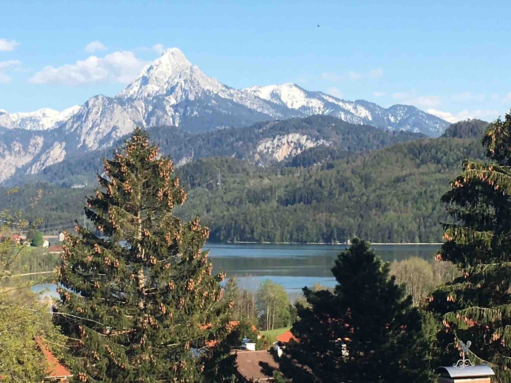 Sommerlicher Blick über Tannen auf den Weißensee und das Bergmassiv dahinter